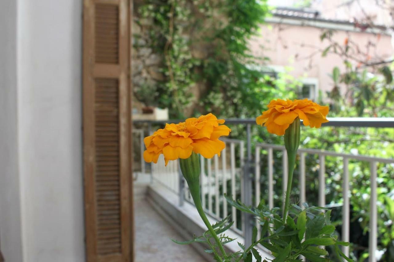 Apartmán 75 Sq.M. Apt In The Heart Of Athens - Renovated Exteriér fotografie